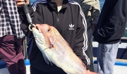 Deep Sea Full Day Fishing Charters in Melbourne
